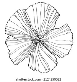 black and white line illustration of hibiscus flower on a white background