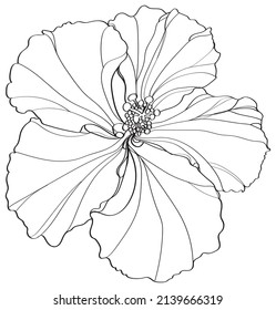 black and white line illustration of hibiscus flower on a white background