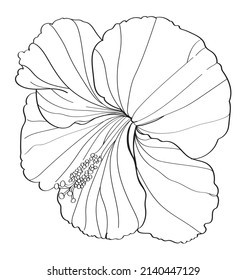 black and white line illustration of hibiscus flower on a white background