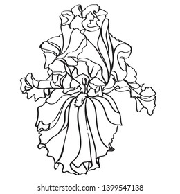 black and white line illustration of iris flowers on a white background