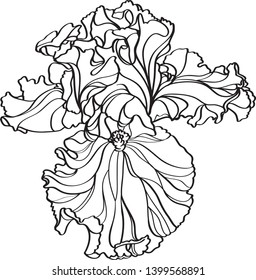 black and white line illustration of iris flowers on a white background