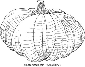 Black and white line illustration of a pumpkin.