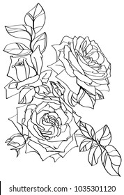 54,886 White rose outline illustration Images, Stock Photos & Vectors ...