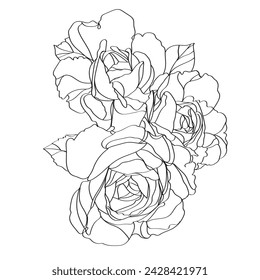 Black and white line illustration of rose flowers on a white background