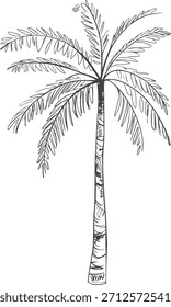Línea en blanco y negro de una palmera con un tronco texturizado detallado