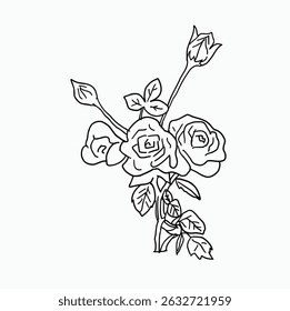 black and white line. roses with green stems and leaves. Cartoon Style Illustration