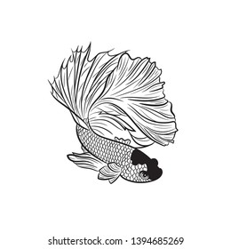 Black and white line vector drawing of male siamese fighting fish on isolated white background. Using for logo , print , website and etc.