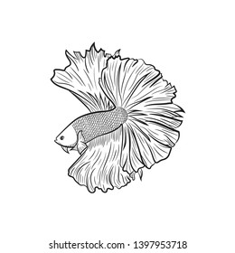 Black and white line vector drawing of male siamese fighting fish on isolated white background. Using for logo , print , website and etc.