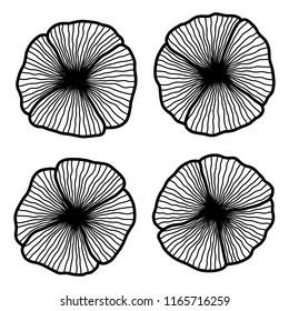 Black and white line vector flower set