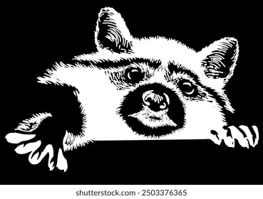 Black and white linear coloring, drawn raccoon vector illustration