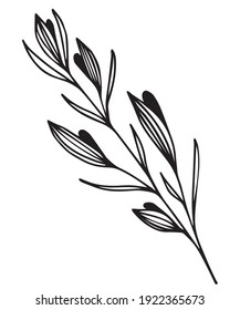 black and white, linear drawing of a branch with leaves and berries, buds, stylized vector graphics, ornamental plant