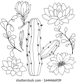 black and white linear drawing of cactus and flowers, vector illustration, isolate on a white background, elements for design