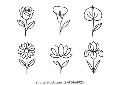 Black and white linear drawings showcasing a rose, calla lily, iris, daisy, lotus, and tulip.