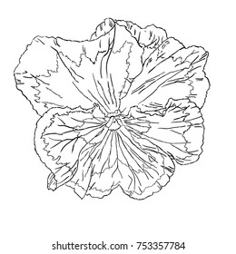 Black and white linear flower