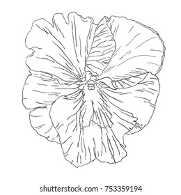 Black and white linear flower