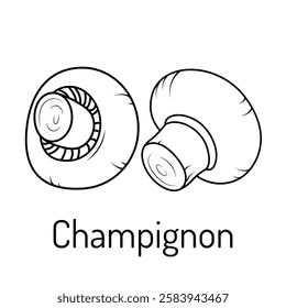 Black and white linear illustration of champignon mushrooms. Hand drawn illustration of whole white mushrooms. Ideal for culinary, botanical and educational projects.