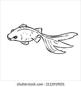 Black and white linear illustration depicting decorative fish,Japanese carp,rainbow trout,crucian carp,goldfish ,coloring book for children and adults,line art wall art,posters,shaft art,stained glass