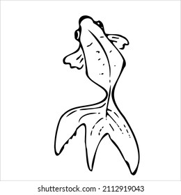 Black and white linear illustration depicting decorative fish,Japanese carp,rainbow trout,crucian carp,goldfish ,coloring book for children and adults,line art wall art,posters,shaft art,stained glass