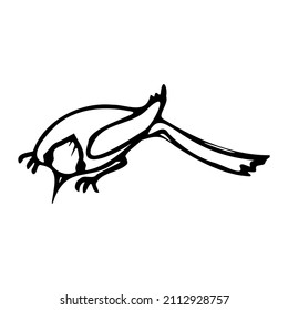 Black and white linear illustration depicting birds,swallows,storks,cranes,magpies,woodpecker ,coloring book for children and adults,line art wall art,posters,shaft art,stained glass style,abstraction