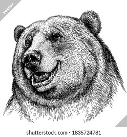 black and white linear paint draw bear vector illustration