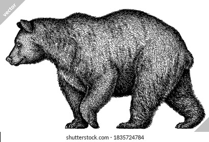 black and white linear paint draw bear vector illustration