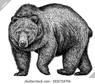 black and white linear paint draw bear vector illustration