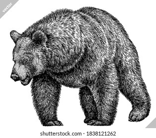 316 Agressive bear Images, Stock Photos & Vectors | Shutterstock