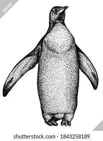 black and white linear paint draw penguin vector illustration