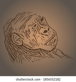 black and white linear paint draw monkey vector illustration