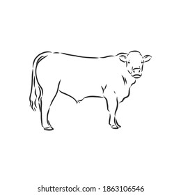 Black White Linear Paint Draw Bull Stock Vector (Royalty Free) 1863106546