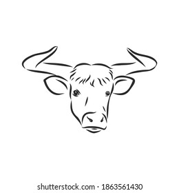 pintura lineal blanca y negra dibuja la ilustración del vector del toro. ilustración de esbozo vectorial de toro