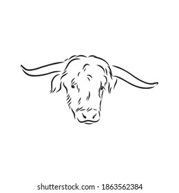 black and white linear paint draw bull vector illustration. bull vector sketch illustration