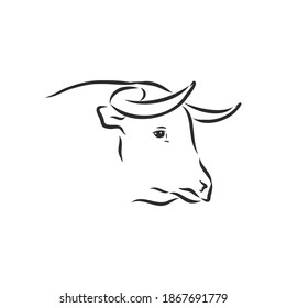 black and white linear paint draw bull vector illustration. bull vector sketch illustration