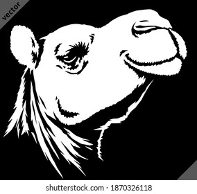 black and white linear paint draw camel vector illustration art