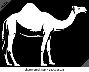 black and white linear paint draw camel vector illustration art
