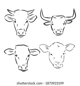 black and white linear paint draw bull vector illustration. bull vector sketch illustration