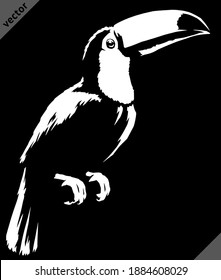 black and white linear paint draw Toucan vector illustration art