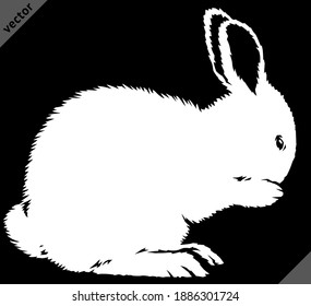 black and white linear paint draw rabbit illustration art