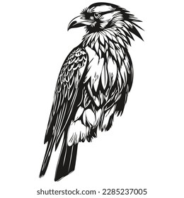 Dibujo de pintura lineal en blanco y negro Dibujo de ilustraciones vectoriales de Raven corbie
