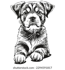 Black and white linear paint draw puppy vector illustration puppies
