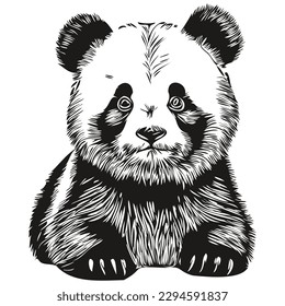 Lineare Schwarzweiß-Malerei Panda Vektorgrafik Pandas
