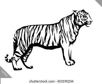black and white linear paint draw tiger vector illustration
