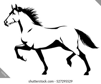 black and white linear paint draw horse vector illustration