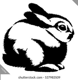 black and white linear paint draw rabbit vector illustration