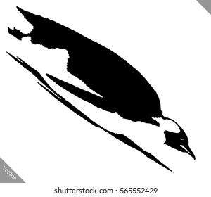 black and white linear paint draw penguin vector illustration