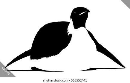 black and white linear paint draw penguin vector illustration