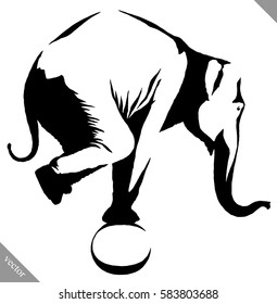 black and white linear paint draw elephant illustration
