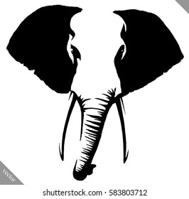 black and white linear paint draw elephant illustration
