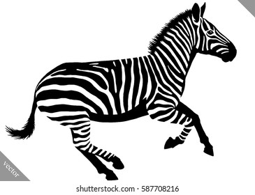 black and white linear paint draw zebra vector illustration