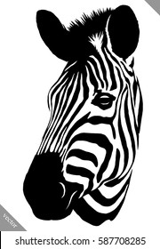 black and white linear paint draw zebra vector illustration